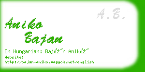 aniko bajan business card